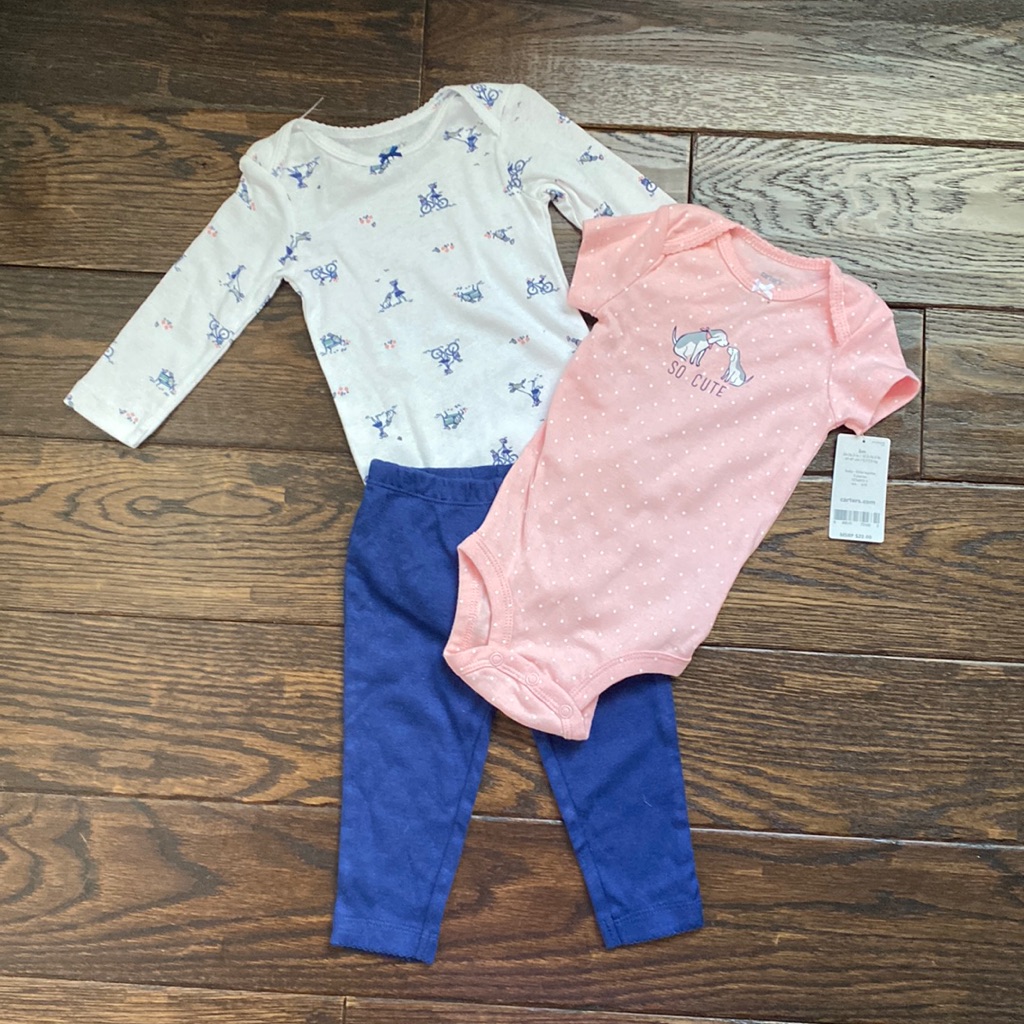 Nwt Carter’s Spring Set
